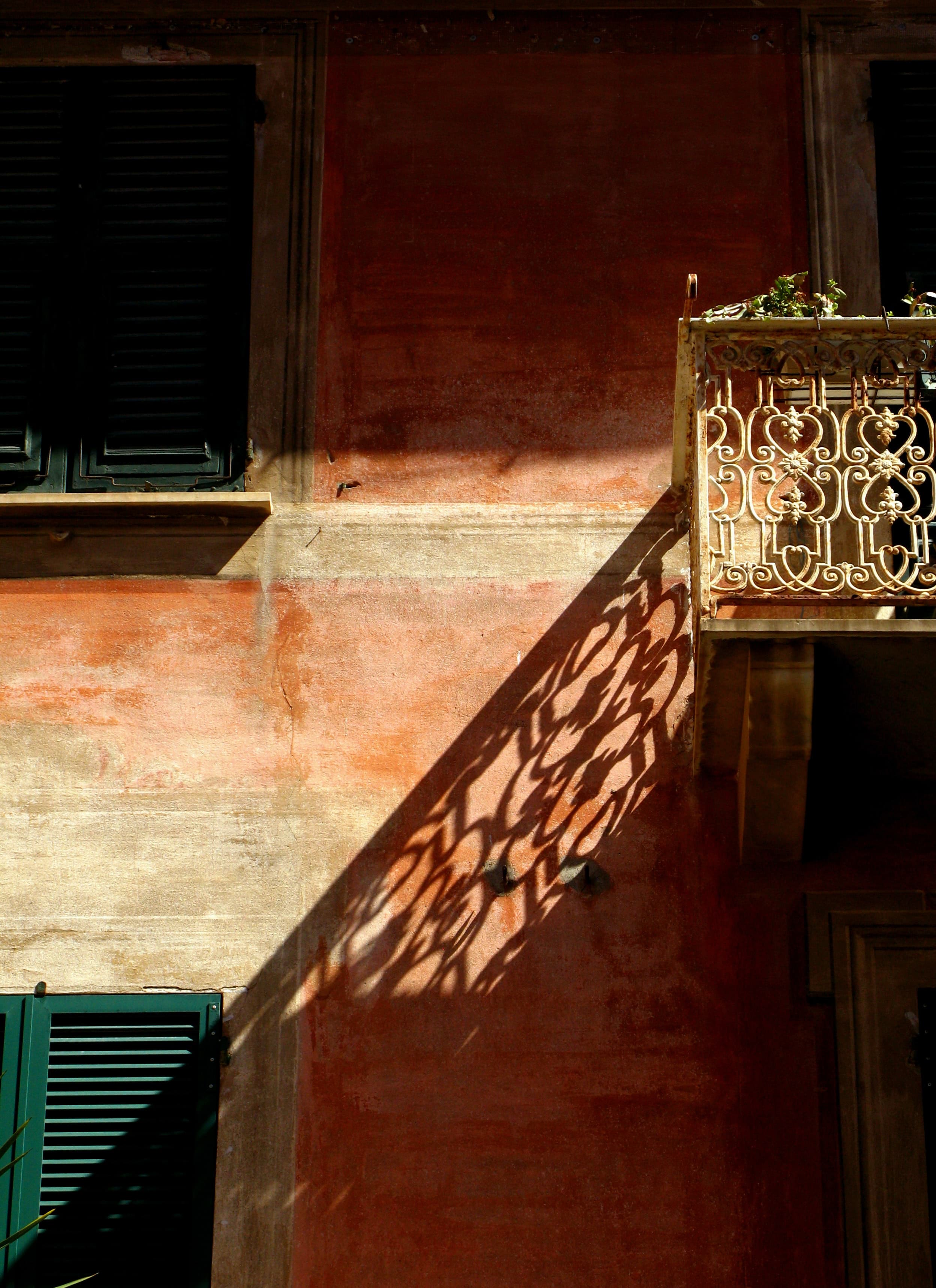 Хэлж амжаагүй үгс