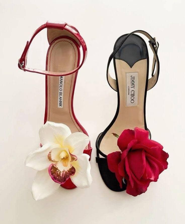 Тэр 271 настай байлаа